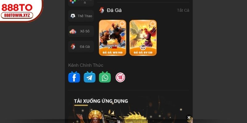 Khám phá sảnh Đá Gà tại 888TO