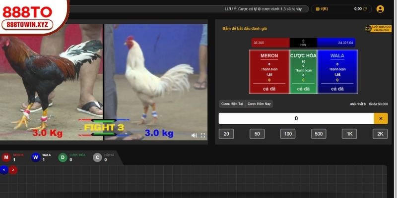 Trực tiếp C3 sôi động